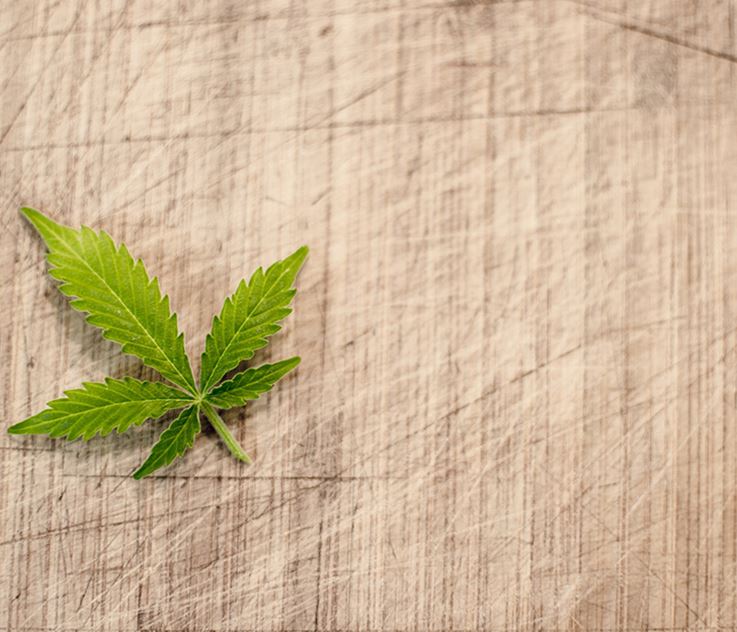 Skæv tilgang til medicinsk cannabis