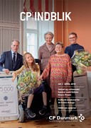 CP INDBLIK 2-19