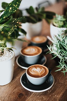 Kaffe