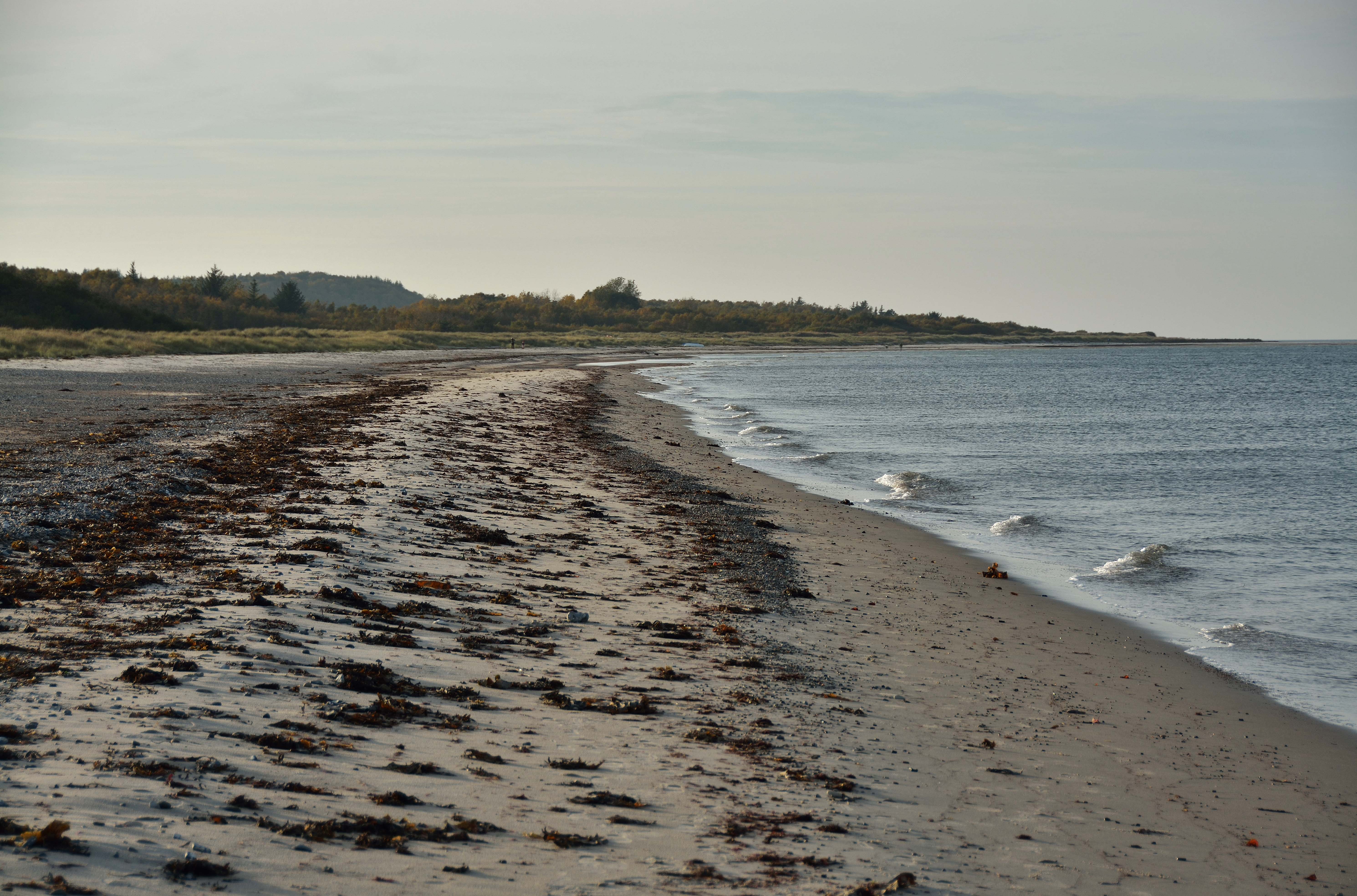 28.-30. august – Familieweekend