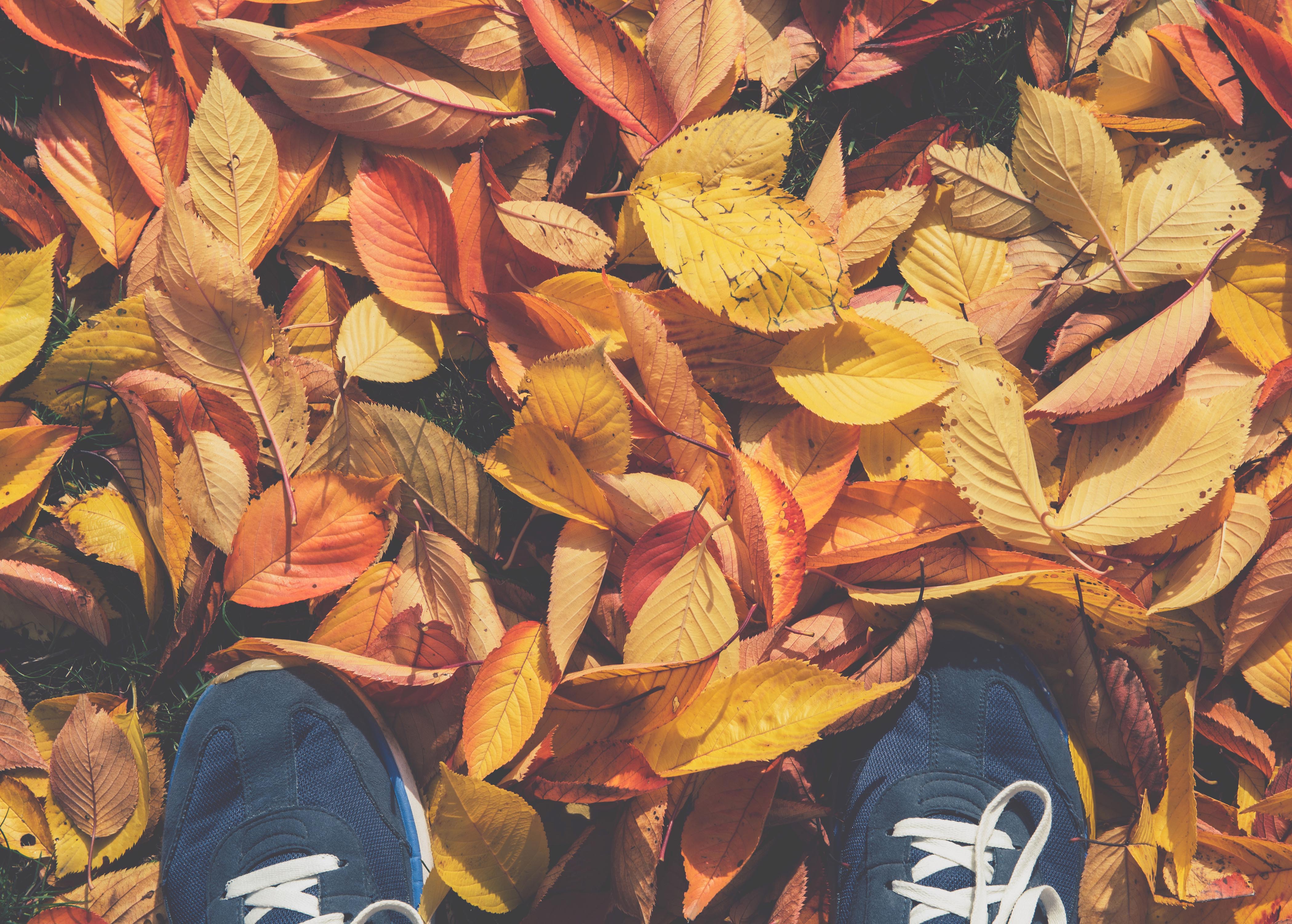 4. oktober – Walk & talk