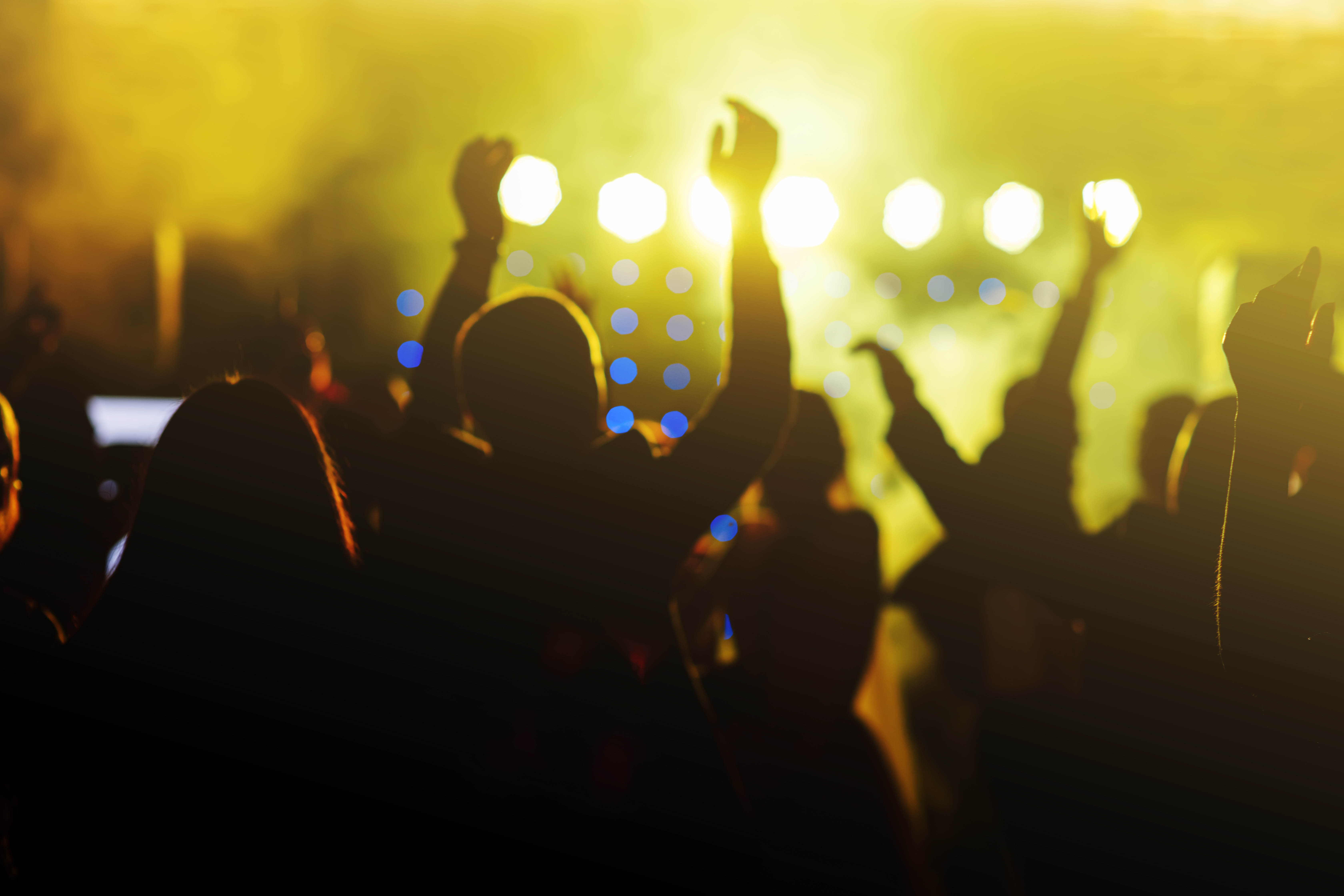 12. august – Musikfestival