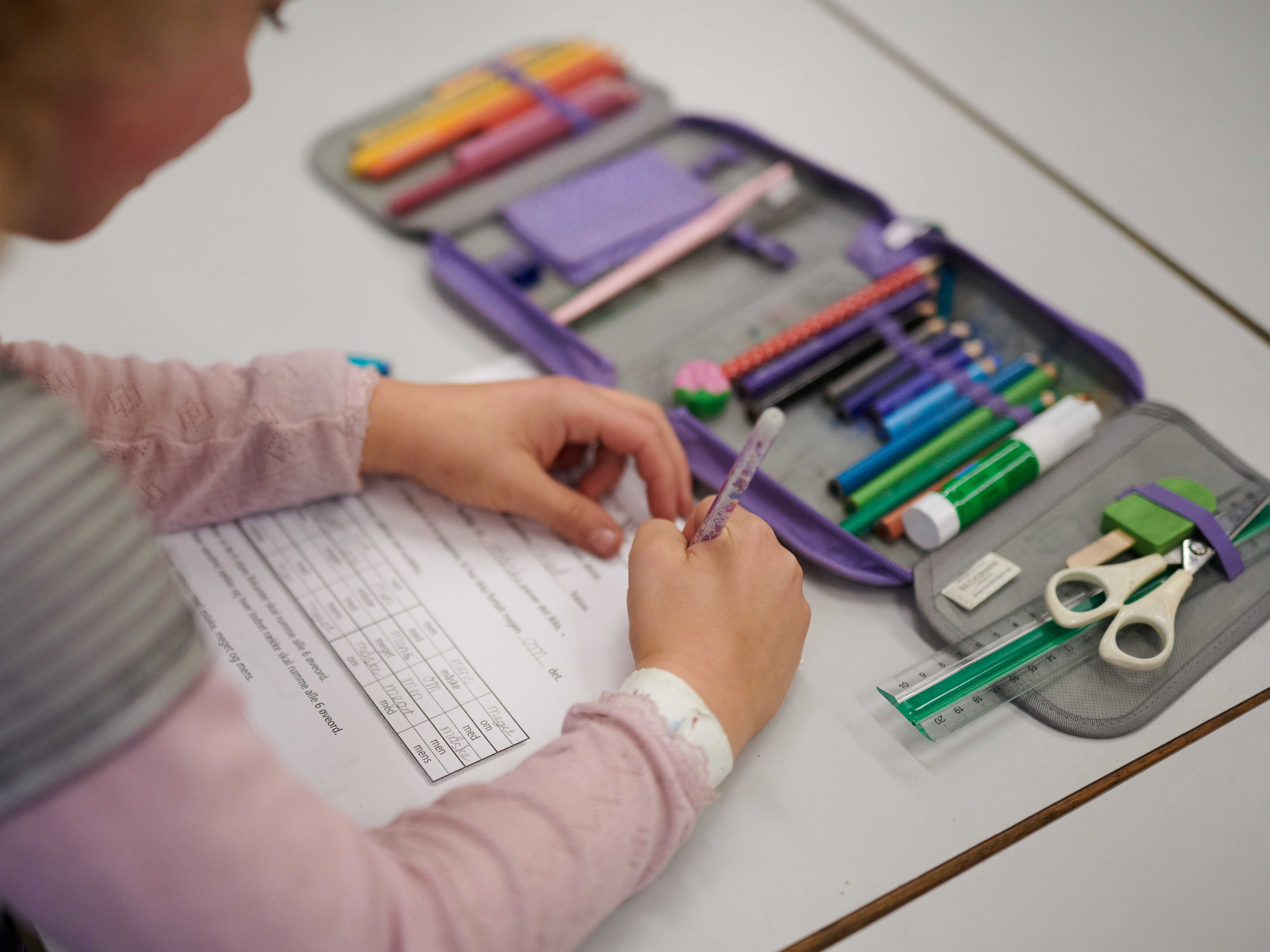 Webinar: Støttemuligheder i skolen