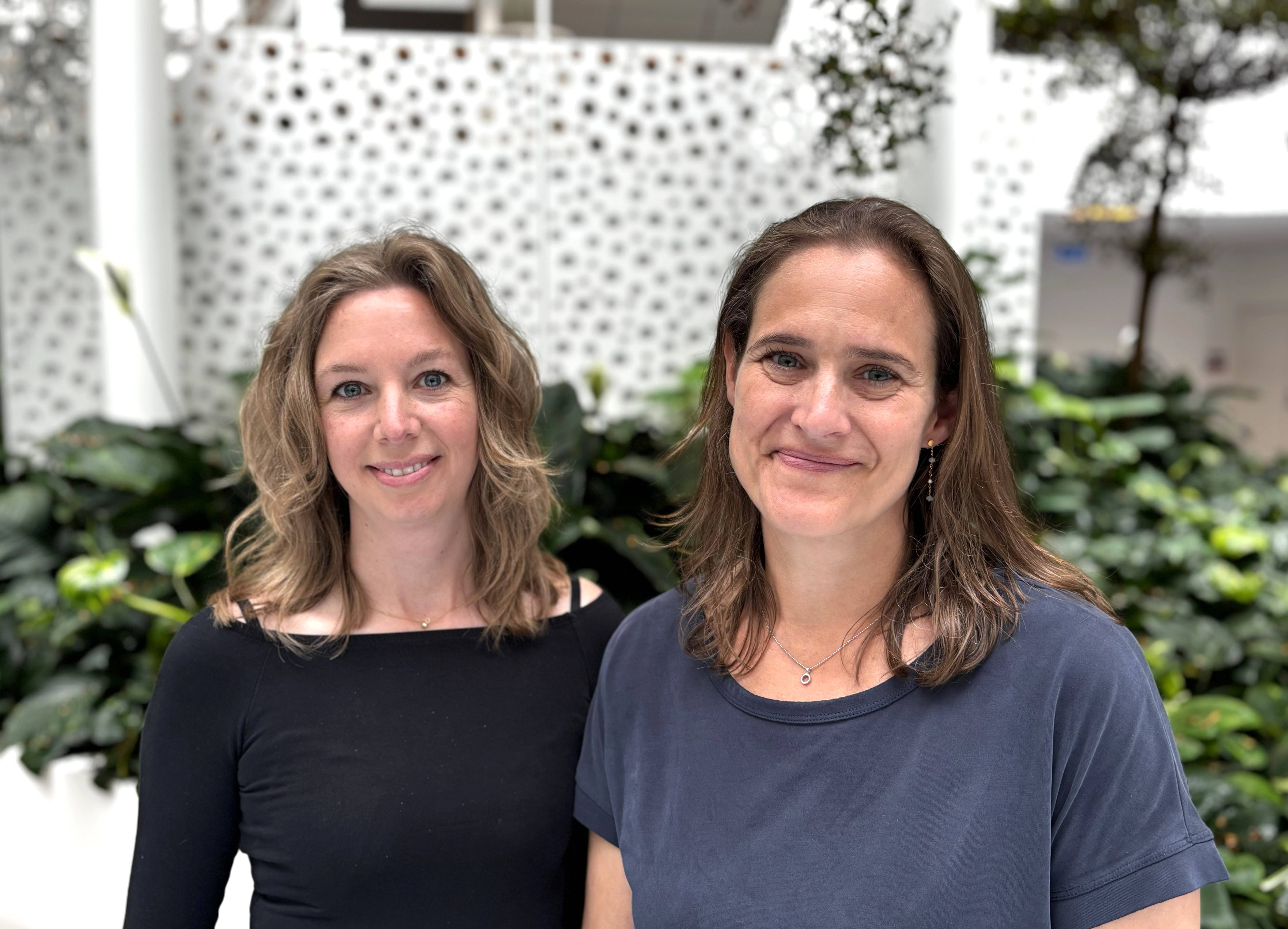 Webinar: Støttemuligheder i skolen