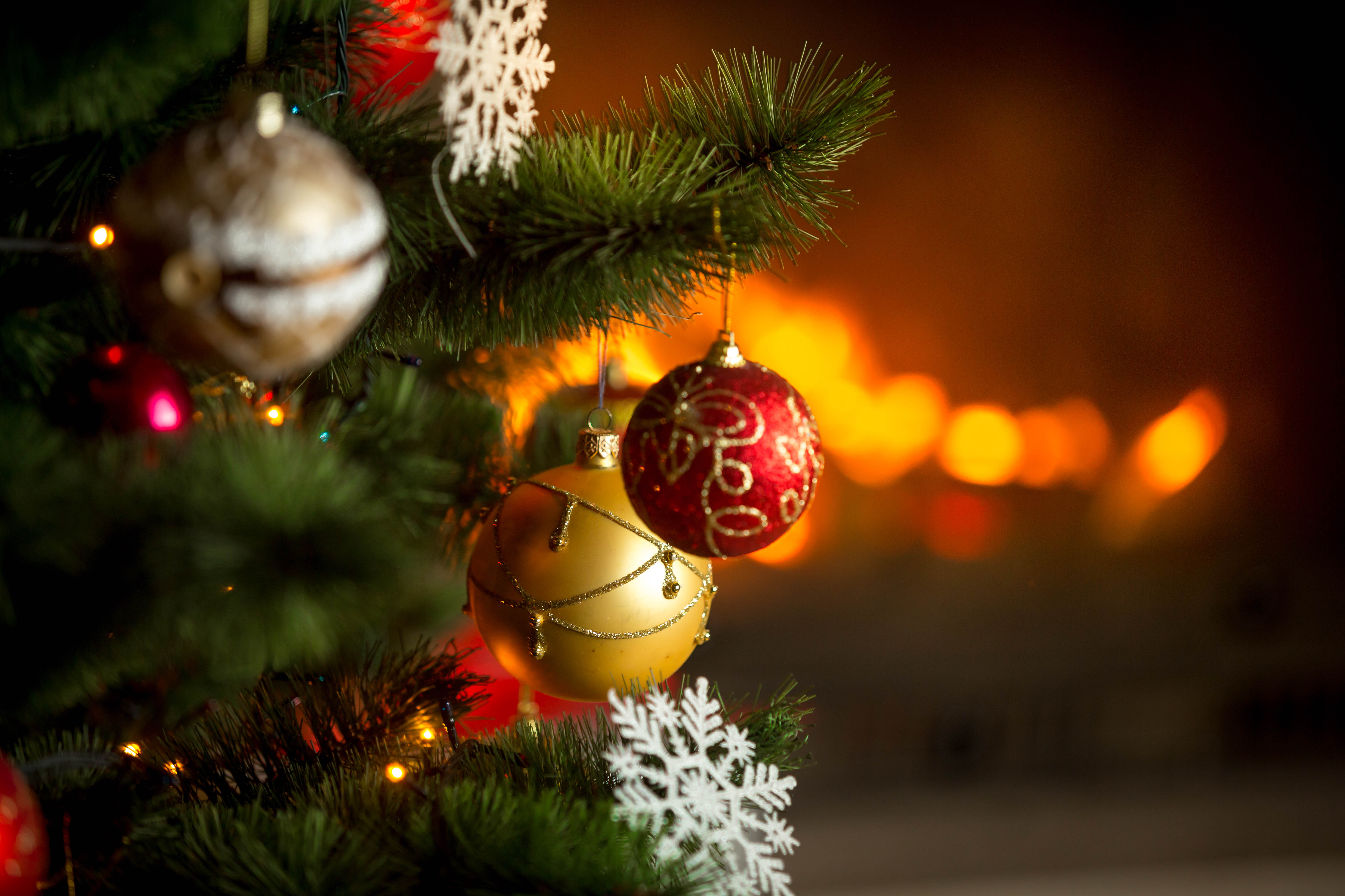 7. november – Julefrokost