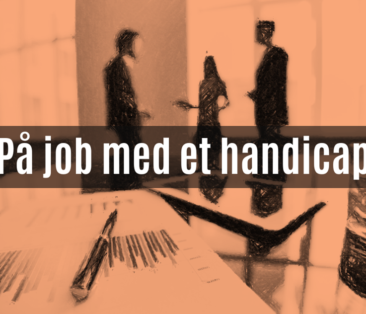Webinar: Få gode råd om job